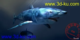 3D打印模型水中杀手，论坛史上最强沙鱼~（原模没加平滑，PSD格式贴图）申请精华，哈哈~的图片