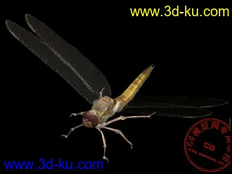 3D打印模型蜻蜓的图片