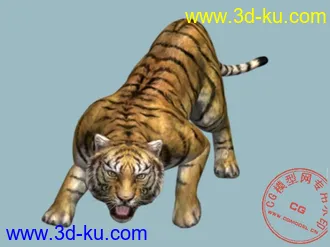 3D打印模型南蛮老虎的图片