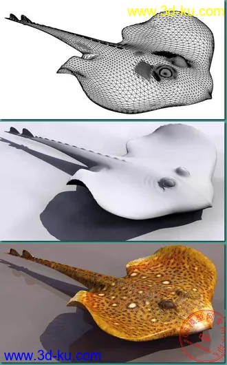 3D打印模型一条海鱼的图片