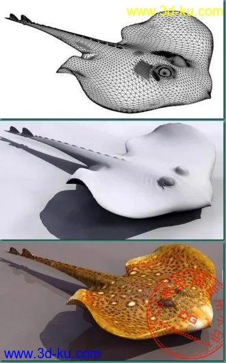 3D打印模型一条海鱼的图片
