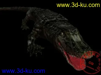3D打印模型鳄！你见过么？的图片