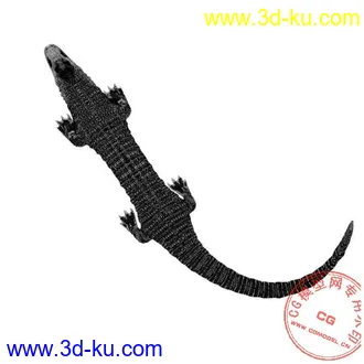 3D打印模型鳄！你见过么？的图片