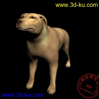 3D打印模型再发一只大黄狗的图片