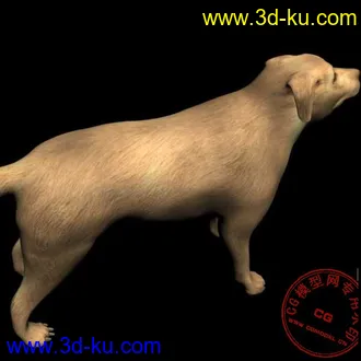 3D打印模型再发一只大黄狗的图片
