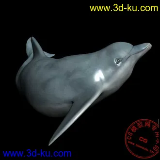 3D打印模型很细致的海豚的图片