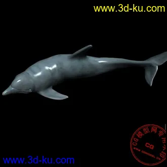 3D打印模型很细致的海豚的图片