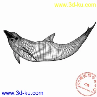3D打印模型很细致的海豚的图片
