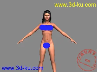 3D打印模型重磅出击！商业H游戏中高模MM！带高清贴图！申请加分！的图片