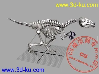 3D打印模型带骨骼的恐龙  希望大家喜欢的图片