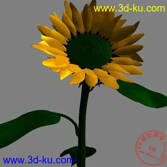 3D打印模型向日葵！的图片
