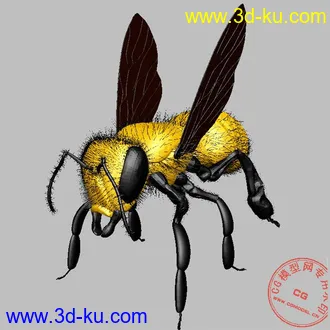 3D打印模型超精细的蜜蜂！的图片