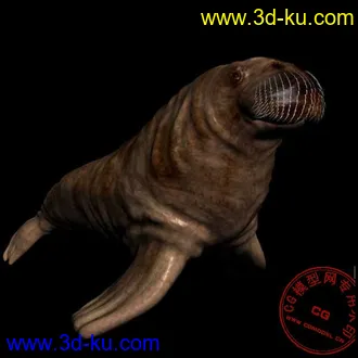 3D打印模型海象，来看看吧的图片