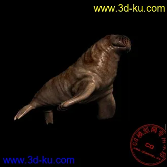 3D打印模型海象，来看看吧的图片
