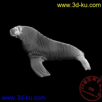 3D打印模型海象，来看看吧的图片