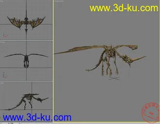3D打印模型貼圖美的骨龍的图片