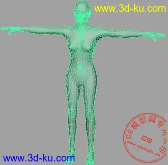 没有SMOOTH过的女人体模型.......的图片