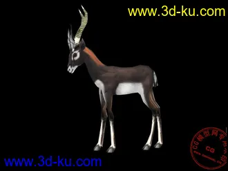 3D打印模型《魔兽世界》小动物 羚羊（四套贴图）的图片