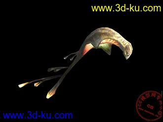 3D打印模型每日一模_魔兽世界_孢子蝠（三套贴图）的图片