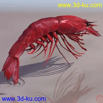 3D打印模型虾子蝎子等的图片