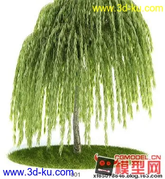 3D打印模型∥绝对极品 精品室内植物合集∥不想错过的的图片