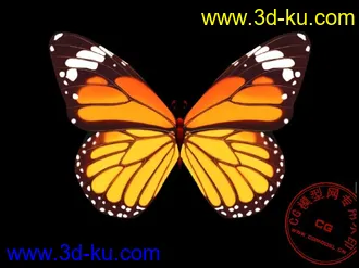 3D打印模型美丽的蝴蝶（带贴图）。。的图片