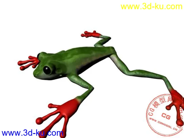 1青蛙模型的图片3