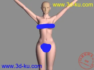 女体模型的图片