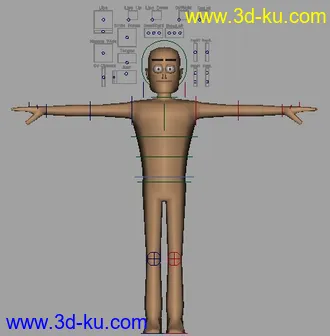 经典动画模型之Max的图片
