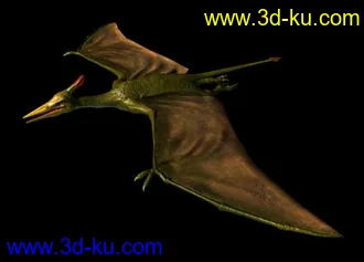 次时代模型【翼龙】从贴图到绑定一应俱全（附带飞行动画）的图片