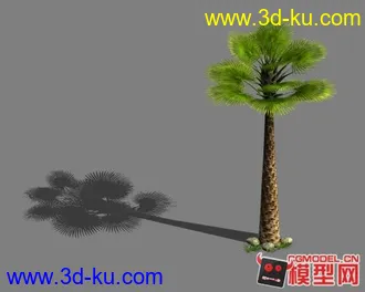 3D打印模型棕榈树的图片