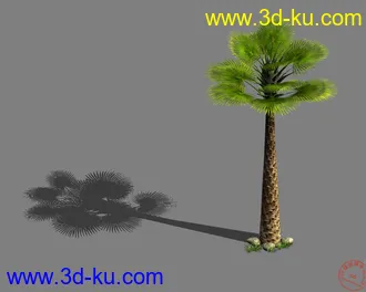 3D打印模型棕榈树的图片