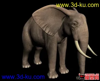 3D打印模型亚洲象~(MAX9)的图片