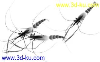 3D打印模型虾（水墨）的图片
