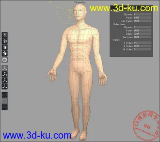 3D打印模型低模人体~~~的图片