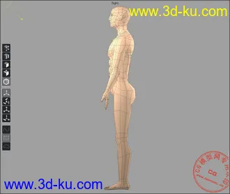 3D打印模型低模人体~~~的图片
