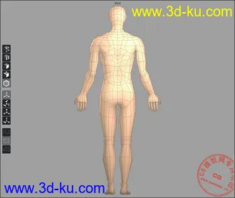 3D打印模型低模人体~~~的图片