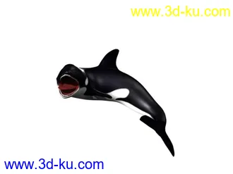 3D打印模型虎鲸的图片