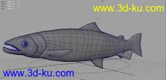 3D打印模型大马哈鱼的图片