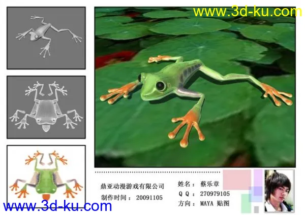 青蛙模型的图片1