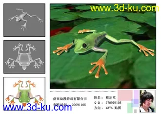 3D打印模型青蛙的图片