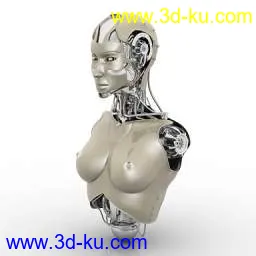 Robot  N250709 3dsmax模型的图片3