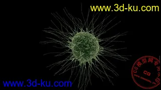 细胞模型,肿瘤细胞的图片