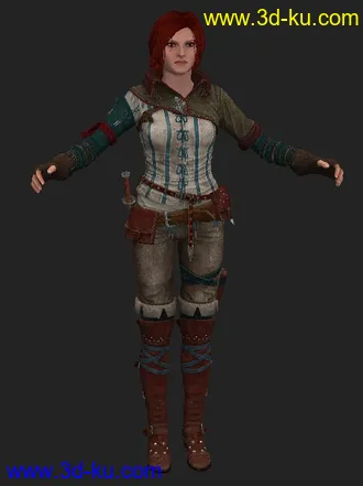 3D打印模型巫师2-刺客之王女主角@Triss（女巫）T-Pose的图片