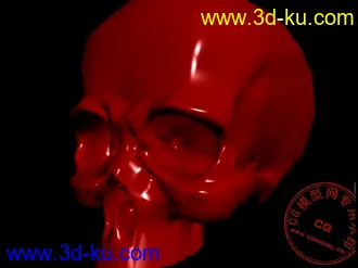 头骨模型（附模型文件）的图片