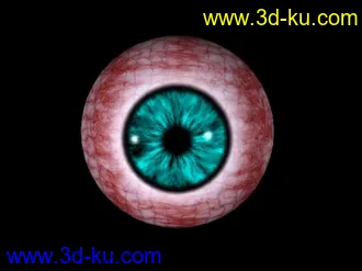 3D打印模型真人眼球的图片
