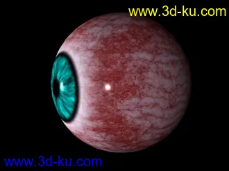 3D打印模型真人眼球的图片