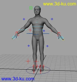 做的本人自己的写实人体模型，以绑定好，可直接用来K动画的图片