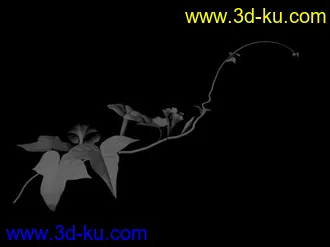 3D打印模型喇叭花的图片
