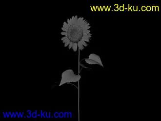 3D打印模型向日葵的图片